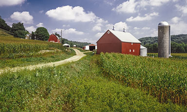 Agriculture Industry